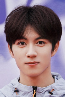Yibo Zhao