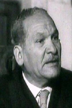 Abdel Moneim Saudi