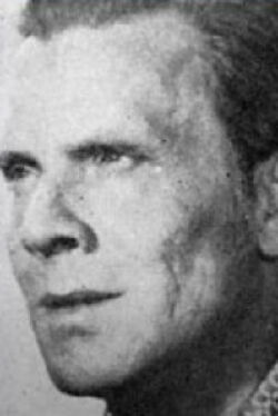 Aleksei Temerin