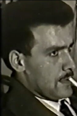 Alfonso Pallarés