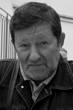Arkady Shulman