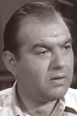 Bernard Fein