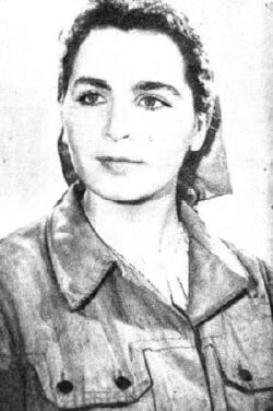 Dana Comnea