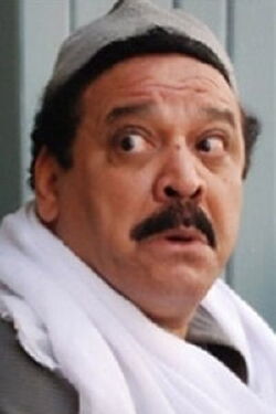 Diaa ElMerghany