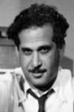 Farid El Gendy