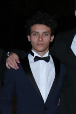 Francisco Ortelli
