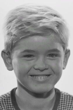Hartmut Schwerdtfeger