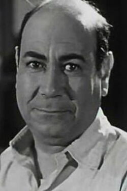 Hasan Fayeq