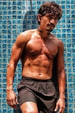 Ibnu Jamil