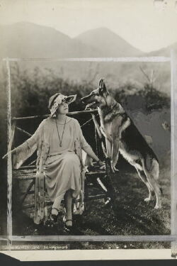 Jane Murfin