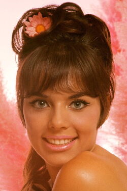 Jo Collins
