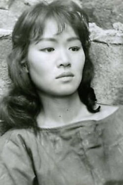 Judy Dan