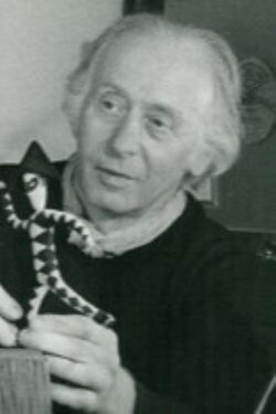 Julien Pappé