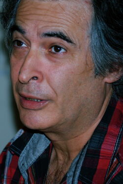 Kiku Vidal