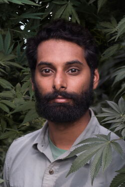 Krishna Andavolu