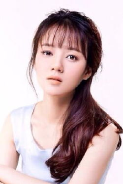 Liu Zhenjun
