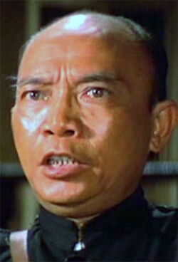 Lu Wei
