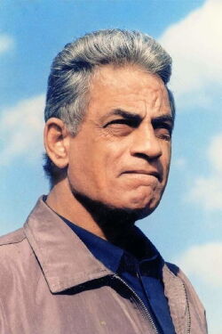 Mahmoud El Kholy