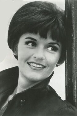 Marcia Rodd