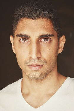 Mehdi Merali