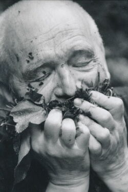 Miloš Šejn