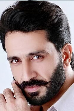 Mir Sarwar