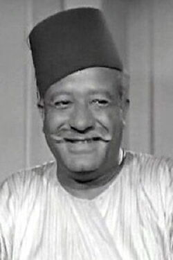 Mohamed Kamel