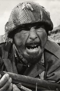 Nino Vingelli
