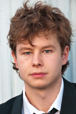 Petrie Willink