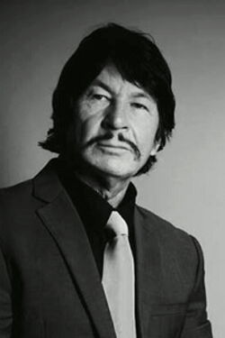 Robert Bronzi