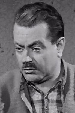 Rudolf Fenner