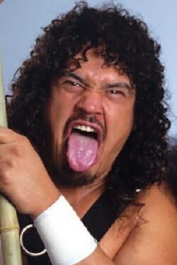 Samula Anoa'i