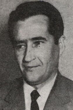Slavoljub Stefanović-Ravasi