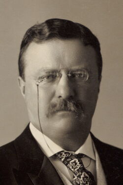 Theodore Roosevelt