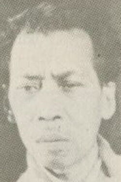 Udjang