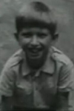 Vaidevutis Mickis