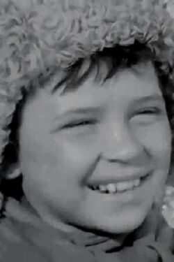 Viktor Karmalitov