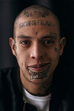 Vitter Leija