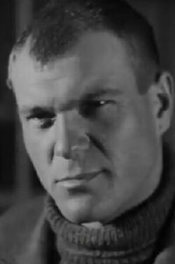 Vladimir Voyshvillo
