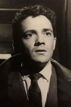Walter Vidarte