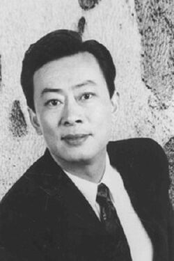 Wang Qiang