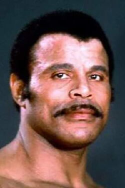 Wayde Bowles
