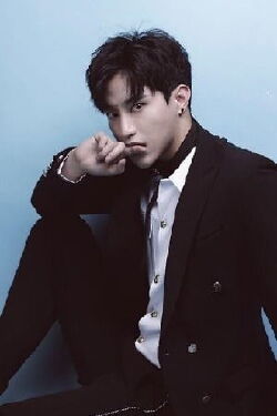 Wu Chuyi