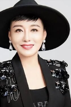 Xiaoqing Hu