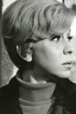 Zofia Kucówna