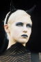 D'arcy Wretzky