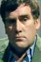 David Ellison