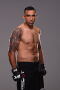 Fabrício Werdum