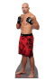 Glover Teixeira