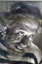 Inam Ahmed